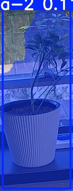 TREE-000014_20260623_111408.jpg