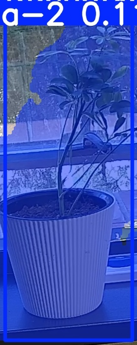 TREE-000014_20260623_111707.jpg