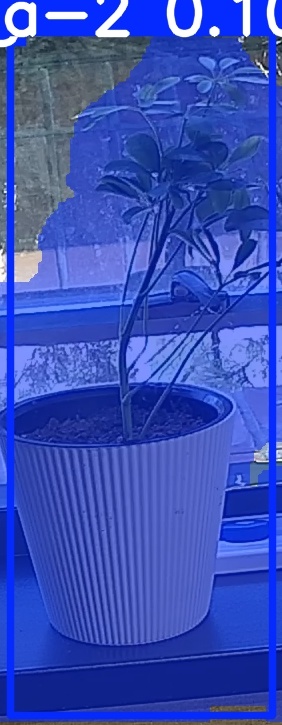 TREE-000014_20260623_111749.jpg