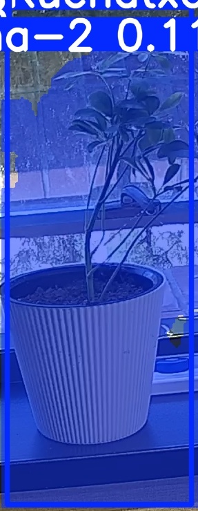 TREE-000014_20260623_112011.jpg