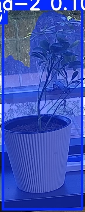 TREE-000014_20260623_112342.jpg
