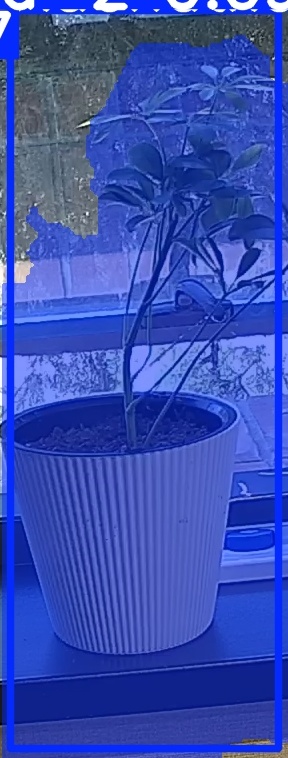 TREE-000014_20260623_112920.jpg