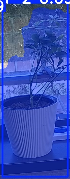 TREE-000014_20260623_113208.jpg