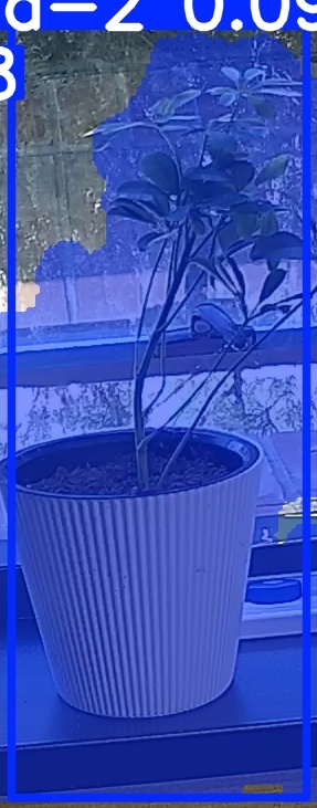 TREE-000014_20260623_113238.jpg