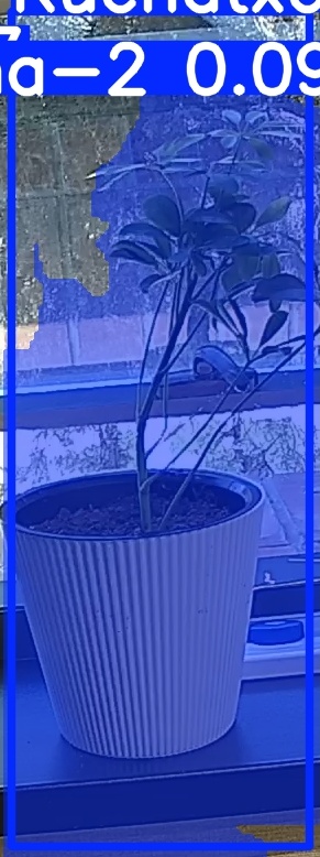 TREE-000014_20260623_115021.jpg