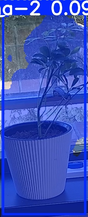 TREE-000014_20260623_115131.jpg
