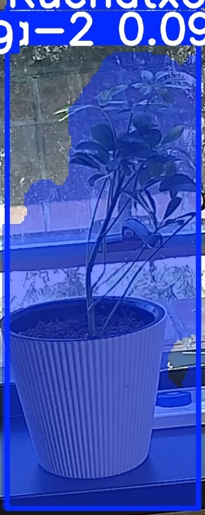 TREE-000014_20260623_115242.jpg