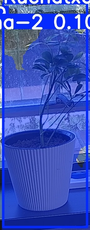 TREE-000014_20260623_115351.jpg