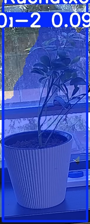 TREE-000014_20260623_115501.jpg