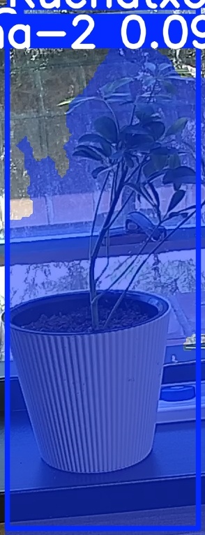 TREE-000014_20260623_115610.jpg