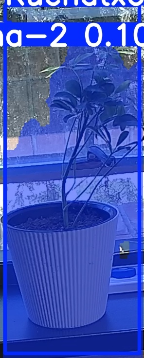 TREE-000014_20260623_115721.jpg