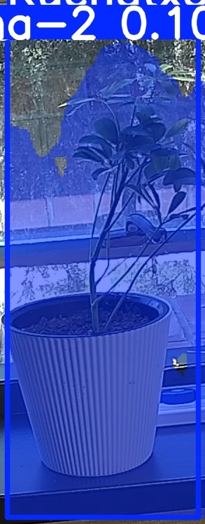 TREE-000014_20260623_115831.jpg