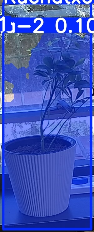 TREE-000014_20260623_115942.jpg