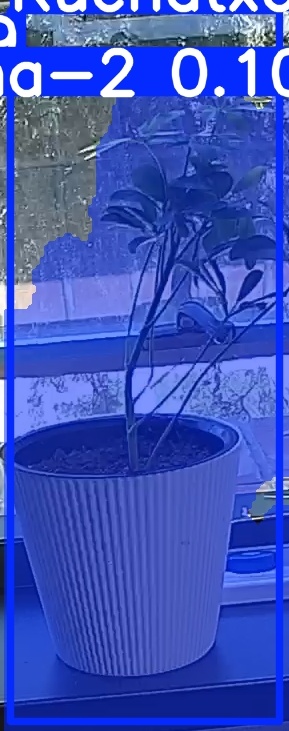 TREE-000014_20260623_120052.jpg