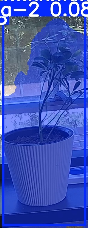 TREE-000014_20260623_120202.jpg