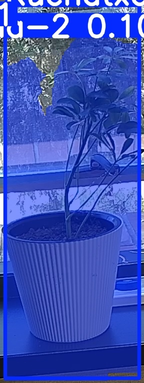 TREE-000014_20260623_120644.jpg