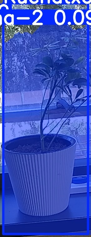 TREE-000014_20260623_120815.jpg