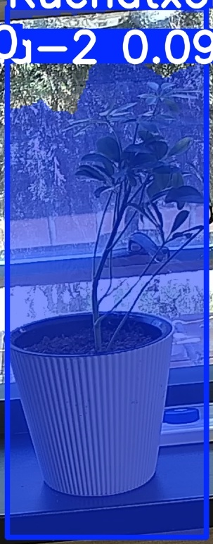 TREE-000014_20260623_120930.jpg
