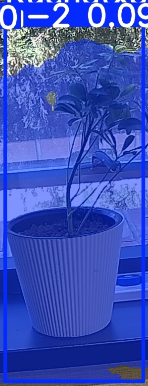 TREE-000014_20260623_121305.jpg