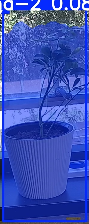 TREE-000014_20260623_121347.jpg