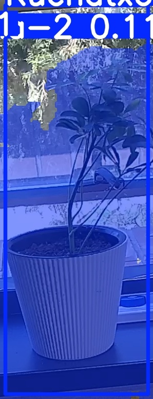 TREE-000014_20260623_124052.jpg