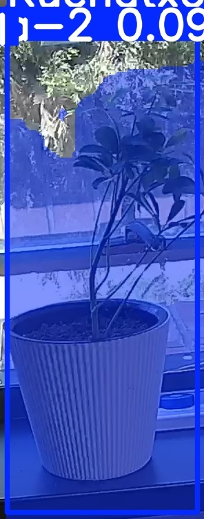 TREE-000014_20260623_124159.jpg