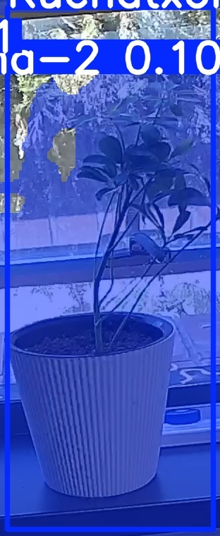 TREE-000014_20260623_124419.jpg