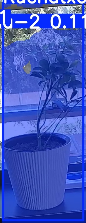 TREE-000014_20260623_124704.jpg