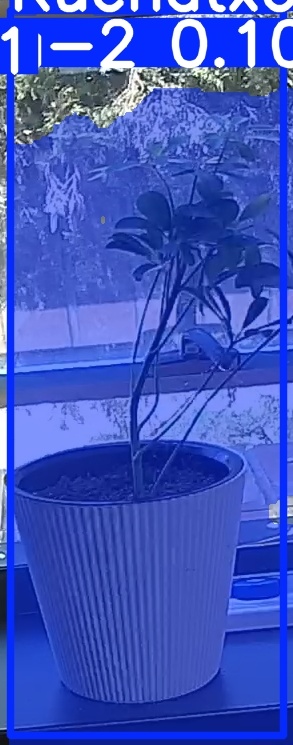 TREE-000014_20260623_124718.jpg