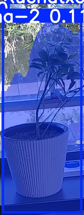 TREE-000014_20260623_124753.jpg