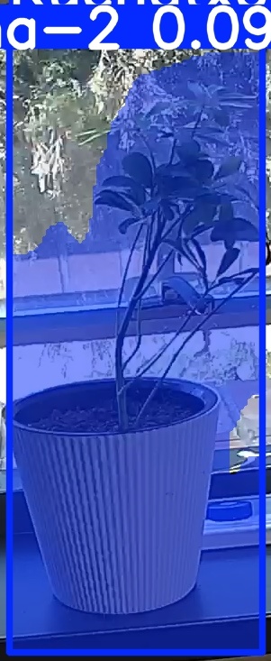 TREE-000014_20260623_124900.jpg