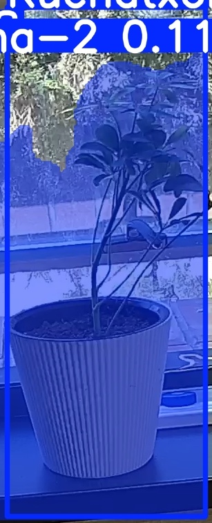 TREE-000014_20260623_125153.jpg