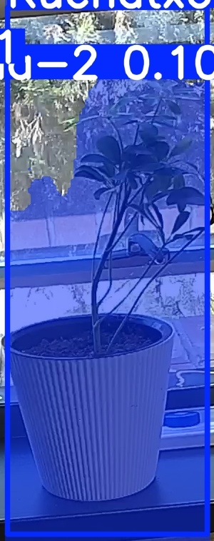 TREE-000014_20260623_125650.jpg