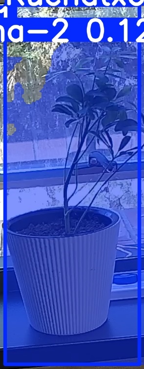 TREE-000014_20260623_130356.jpg