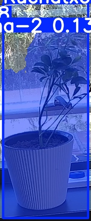TREE-000014_20260623_130728.jpg