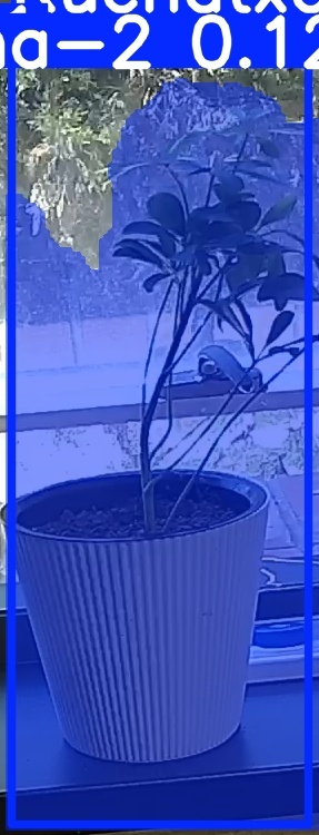 TREE-000014_20260623_130943.jpg