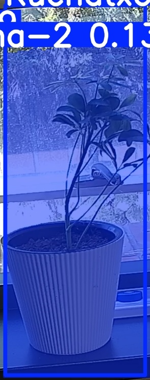 TREE-000014_20260623_131050.jpg