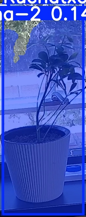 TREE-000014_20260623_131532.jpg