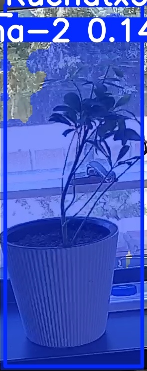 TREE-000014_20260623_131640.jpg