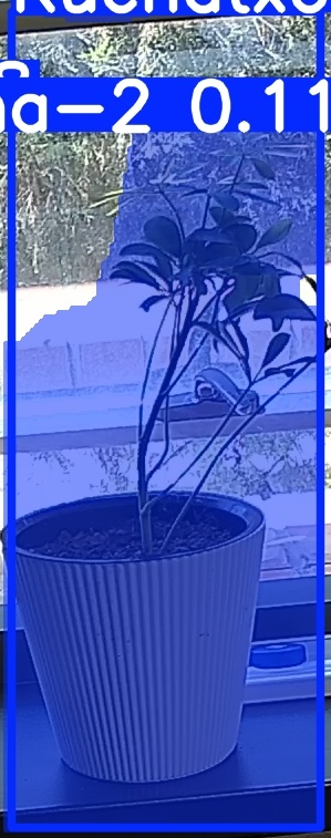 TREE-000014_20260623_131751.jpg