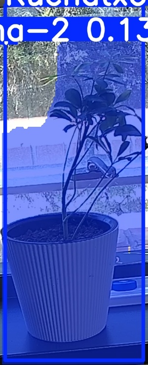 TREE-000014_20260623_131903.jpg