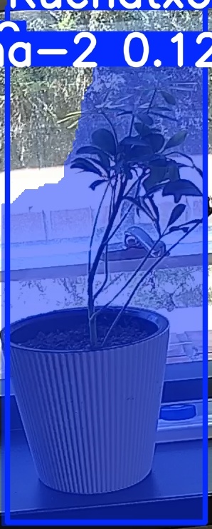 TREE-000014_20260623_132013.jpg