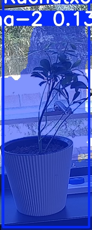 TREE-000014_20260623_132122.jpg