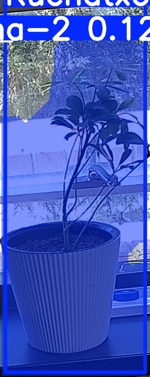 TREE-000014_20260623_132233.jpg