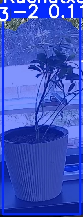 TREE-000014_20260623_132343.jpg