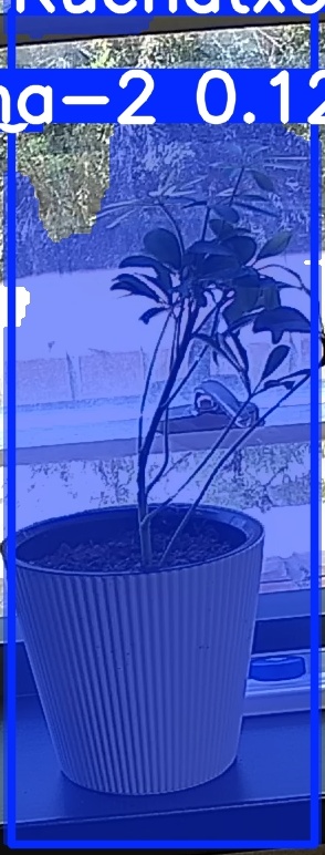 TREE-000014_20260623_132454.jpg