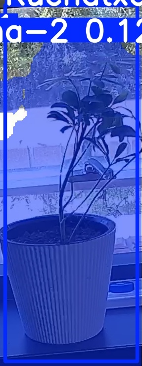 TREE-000014_20260623_132604.jpg