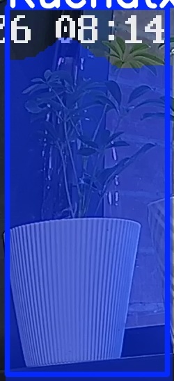 TREE-000015_20260623_081418.jpg