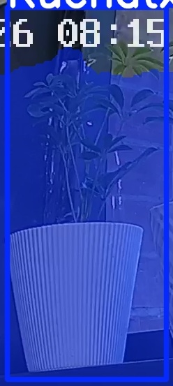 TREE-000015_20260623_081528.jpg