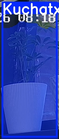 TREE-000015_20260623_081856.jpg